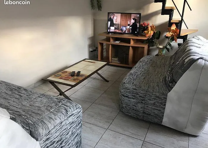 Maison A Orleans Avec Jardin